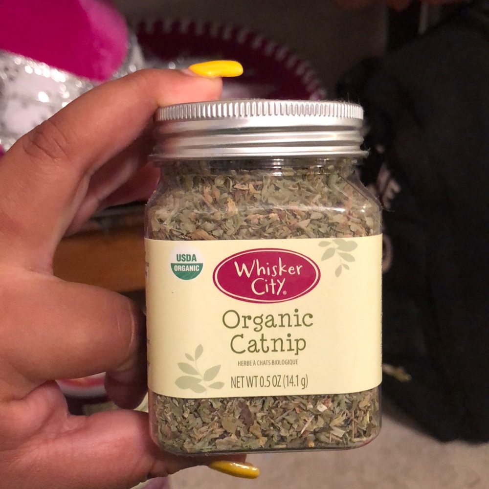 Organic cat nip